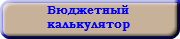 &nbsp;Бюджетный  калькулятор